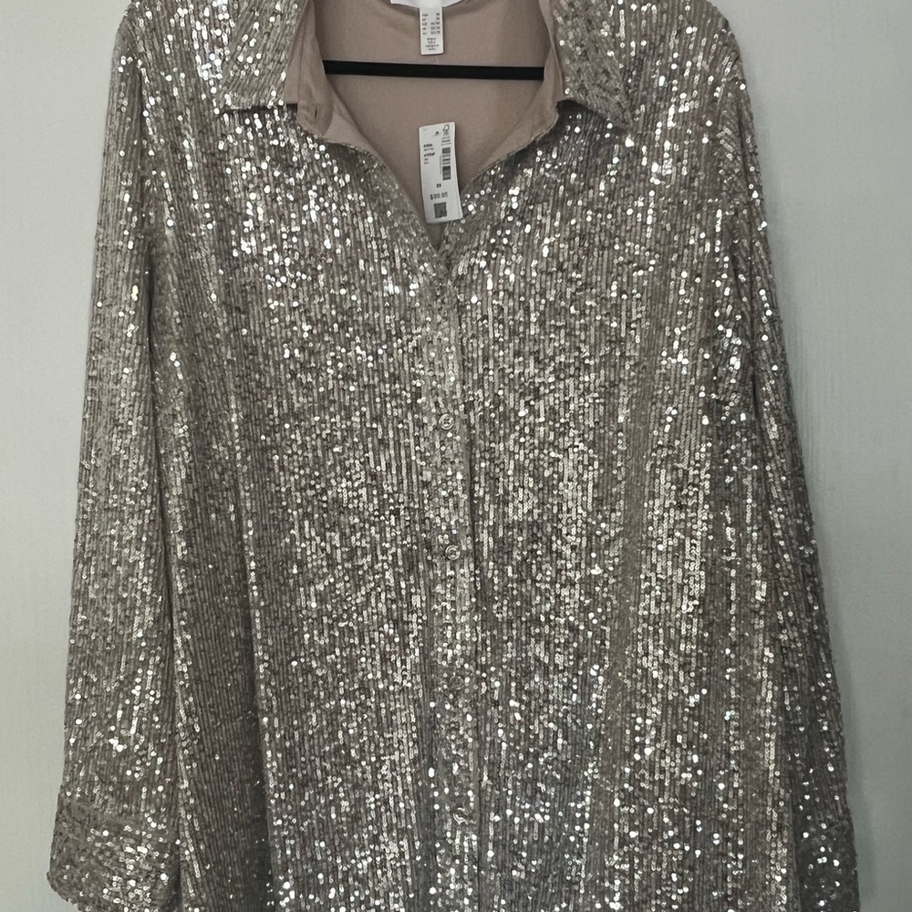 Sequin Silver Blouse